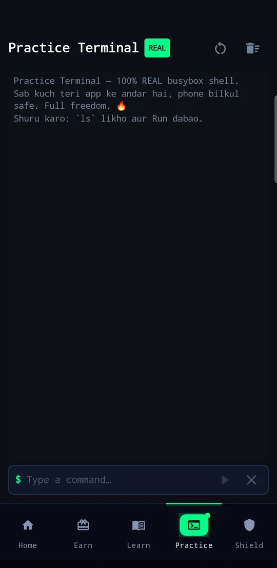 The practice terminal in JeebByte